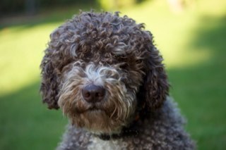 wandavaln's profile picture. 