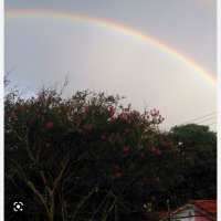 Guto (@guto39990507) 's Twitter Profile