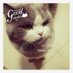 DJ狙击手 (@ynghichun1) Twitter profile photo DJ狙击手 (@ynghichun1) Twitter profile photo