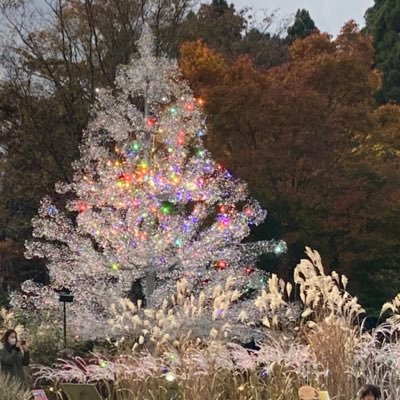 sooo_miiab's profile picture. 2023.3🦖