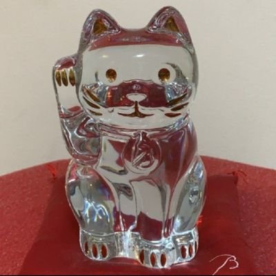 UFadmQF6MGBsv6T's profile picture. 投資垢。