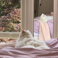 kay (@marktyrll) 's Twitter Profile Photo kay (@marktyrll) 's Twitter Profile Photo