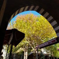 Senay Ayana (@ayanasenay) 's Twitter Profile Photo