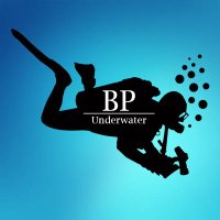 BP Underwater(@BP_Underwater) 's Twitter Profileg