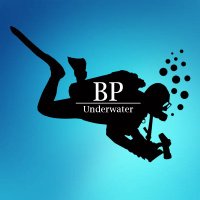 BP Underwater (@bp_underwater) 's Twitter Profile