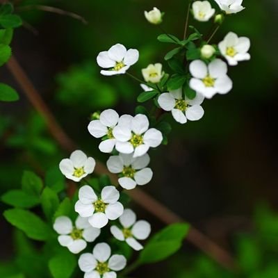 SteveC23005501's profile picture. 