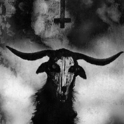 TheWeirdWarlock's profile picture. he/they, multi instrumentalist, bassist of Isolate