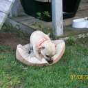 Melody Ramos - @MelodyRamos2 - Twitter