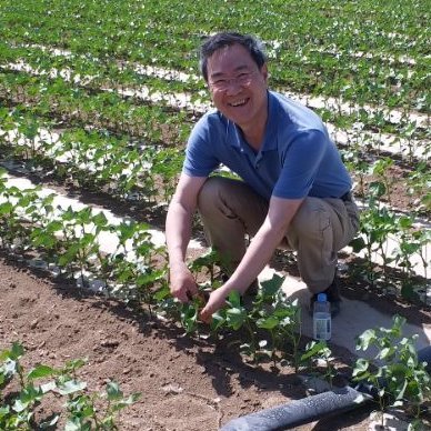 Professor (soil biology and plant nutrition) @China Agricultural Uni
 | phosphorus | mycorrhiza | hyphosphere |  saline soil | cotton |