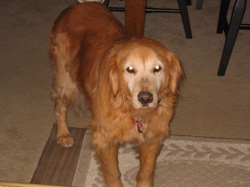 socrhurts's profile picture. Loves soccer, the ocean and the GSN.