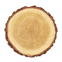 Brian M Elephant (@1mulenga) 's Twitter Profile