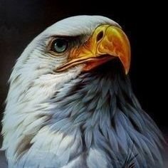 اللهم إني خرجت من حولي وقوتي ، إلى حولك وقوتك ياقوي يامتين
الأعجاب لايعني تبني الفكر ولكن للحفظ !