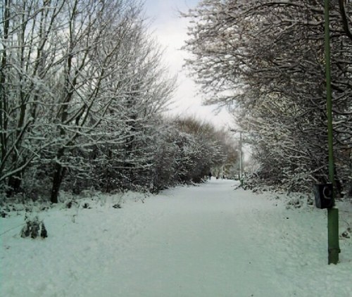 myhaverhilluk's profile picture. Online community for Haverhill, Suffolk.