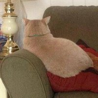 ☄️ Kath☄️ (@lookatmymood) 's Twitter Profile Photo