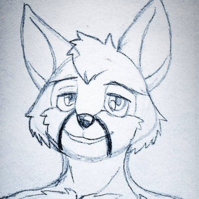 William Swiftfoot, Grey Foxさんのプロフィール画像