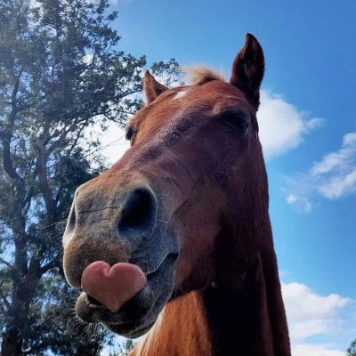 Tuve transplante de corazón recientemente; el mío me lo rompieron