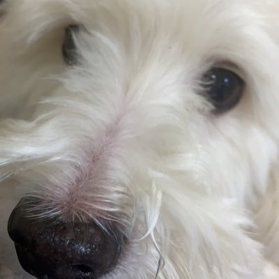 sendy's profile picture. 35歳でランニングに目覚め、ウルトラマラソンをメインにロードやトレイルを走るおっさんです。 (時々筑波山に出没します)