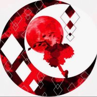 アブリコット (@hosaka1300) 's Twitter Profile