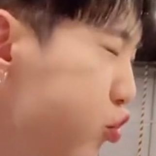 SVT/ENHYPEN/wei 🐯🦊🐬
