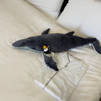 こけしさんのプロフィール画像