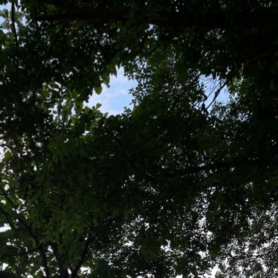 j4ckal0pe Profile Picture