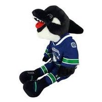 my hockey team sucks because the owner is dumb (@vancouvergent) 's Twitter Profile