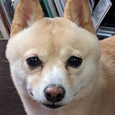 通称Audio Guru
オーディオアクセサリーの修羅
人柱として総額1億程勉強代に浪費した漢
ブログ始めました↓
月間PV感謝の300000回突破
@麻布十番