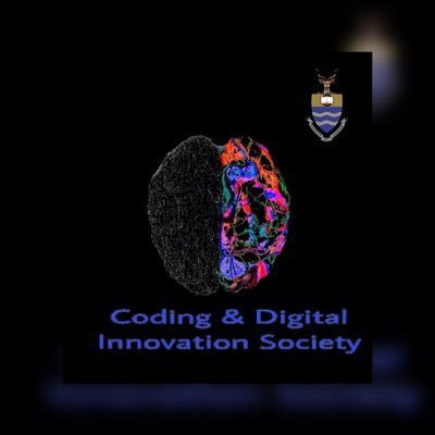 CDIS_Wits_'s profile picture. 