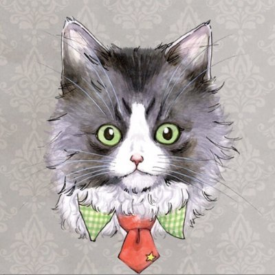 plumrise's profile picture. 「好き」をカタチに。をコンセプトに大阪でWEB制作会社、株式会社プラムライズの代表してます。使いたいと感じるもの、調べてみようと思う行動を起こすきっかけは、いつだって、お気に入りの何かを見つけたところからじゃない？｜27歳からフリーランスを続けて9年。2017年から法人化。｜趣味は飲み歩きと「読書」と言いたい…