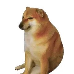 yuliang96349265's profile picture. shy
