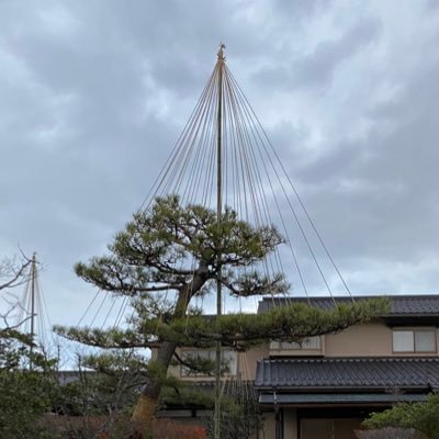 石川県川北町で町の植木屋さん森造園を営んでいます。4月からは父から事業を引き継ぎます。常に従業員募集中。✱LINE公式アカウントhttps://t.co/q9QNm2AXVU ✱只今SNS勉強中