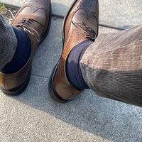 Rextogo (@rextogooooo) 's Twitter Profile