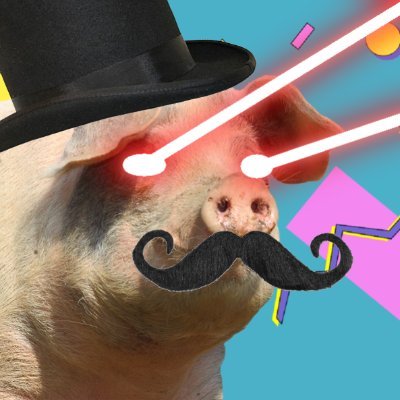 LazerPig Profile