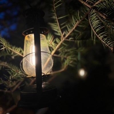 Nitainseoul's profile picture. 