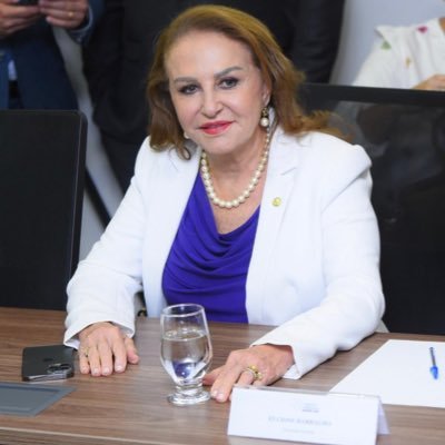 👩🏼‍💼7° mandato de Deputada Federal 💙Trabalho incansável pelo Pará ✊🏼Defesa das Mulheres