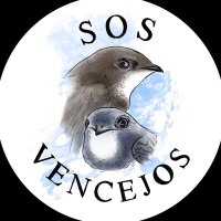 SOS Vencejos(@sosvencejos) 's Twitter Profile Photo