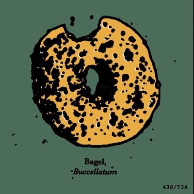 FarahNaazir's profile picture. 