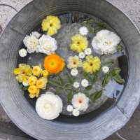 은 (@eunilang0) 's Twitter Profile