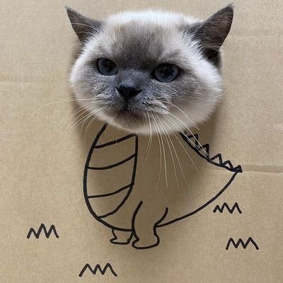 thetallchick876's profile picture. 23 | Dogs are better than humans