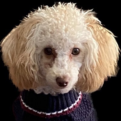 salty_shells's profile picture. ~ I see said the blind man as he picked up his hammer and saw ~ 
Mom • Wife • Mises • 🍄
Be curious, stay curious