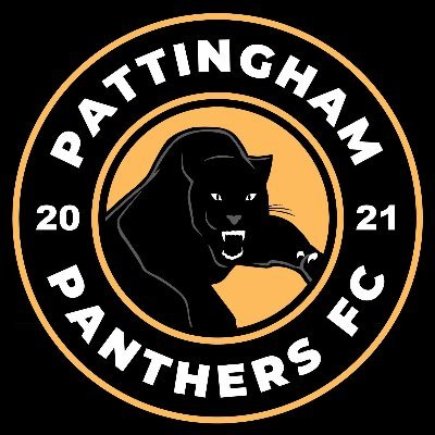 Up The Panthers! Wolverhampton & District Sunday Football League Division 4, Est. 2021 @ltdinvolve
