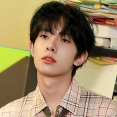 ethanlee_aces's profile picture. . . . sucker for kpop and pizza; multi | busy w univ :3