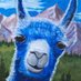 BlueLamma (@yp_lama) Twitter profile photo BlueLamma (@yp_lama) Twitter profile photo