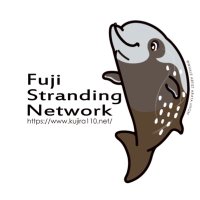 勇魚屋(FSN) (@isanaya223) 's Twitter Profile Photo