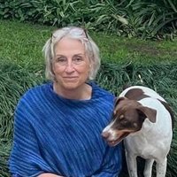 Kathy Hurly (@hurlykathy) 's Twitter Profile