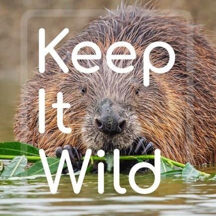 'KEEP IT WILD' An ambitious group of people & supporters driven to get results on the ground in the UK through land purchase and rewilding projects.