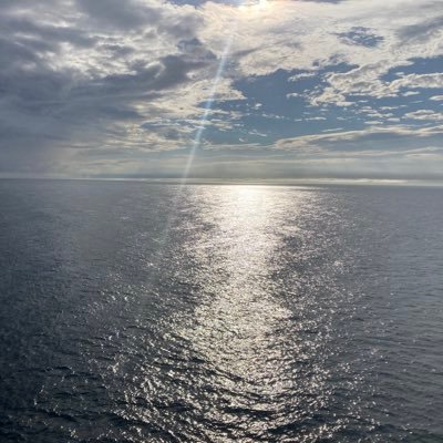 CfAfib's profile picture. 