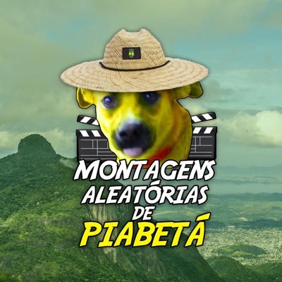 📍Magé, Baixada Fluminense, RJ
Largados na Baixada🐍