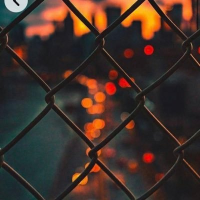 hayashiumbrella's profile picture. 