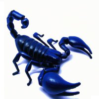 Víctor García (@takito1812) 's Twitter Profile Photo